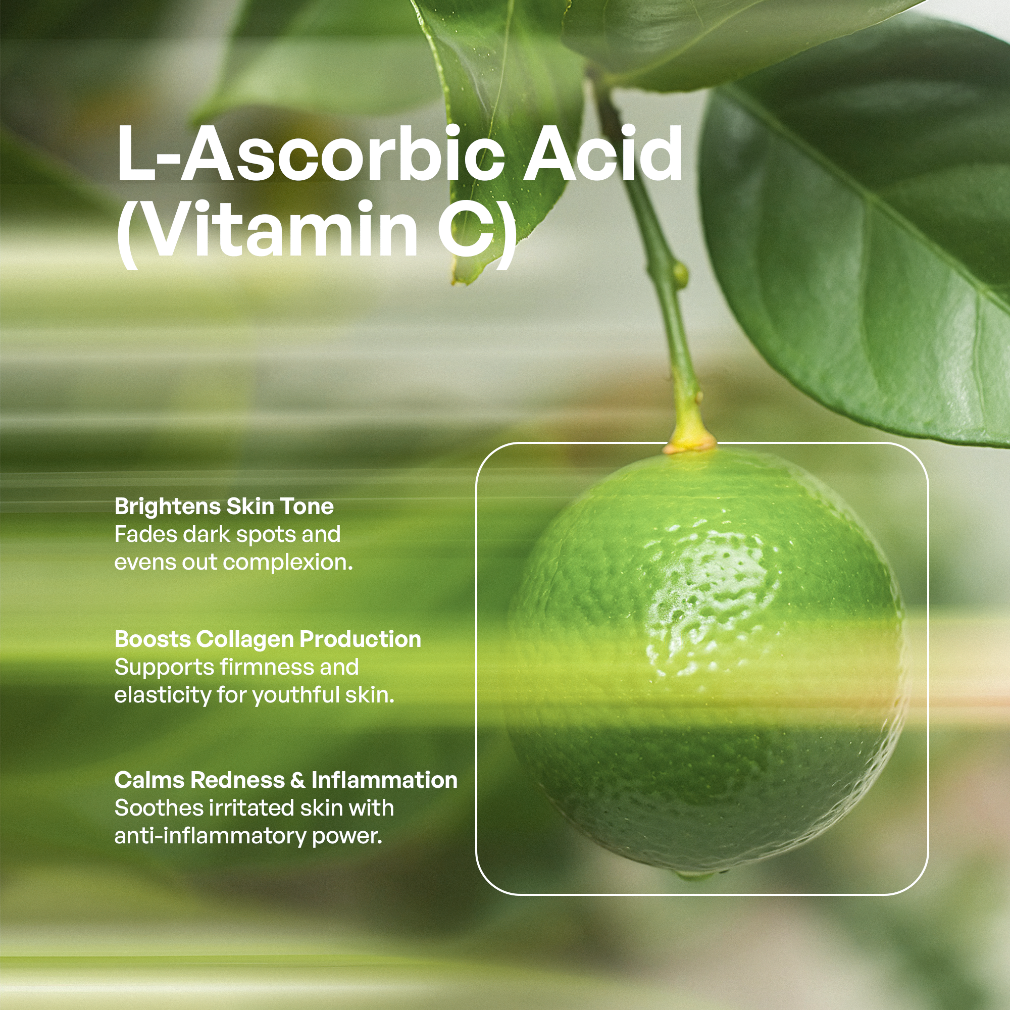 Eye Serum BeautyBoss